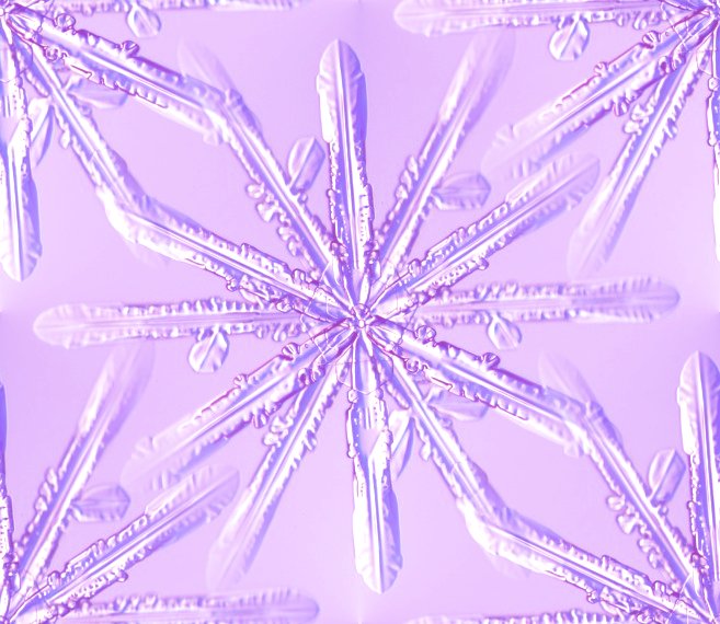Purple Snowflake Background Background Wallpaper