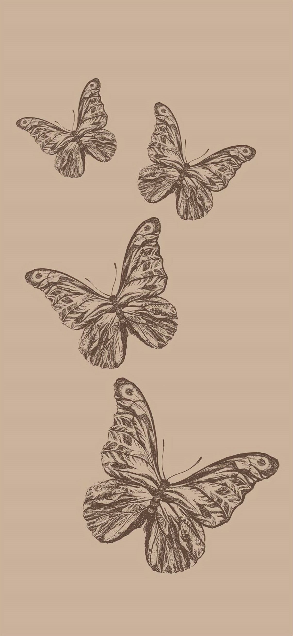 Butterfly Wallpaper For iPhone