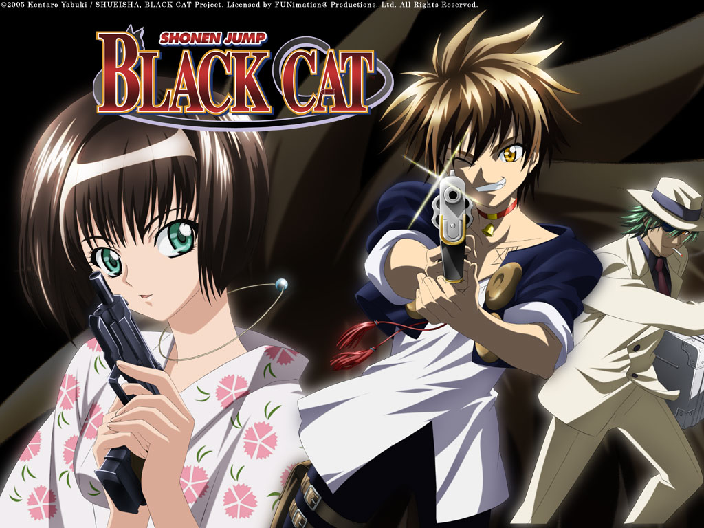 Anime Wallpapers Black Cat       Wallpapers