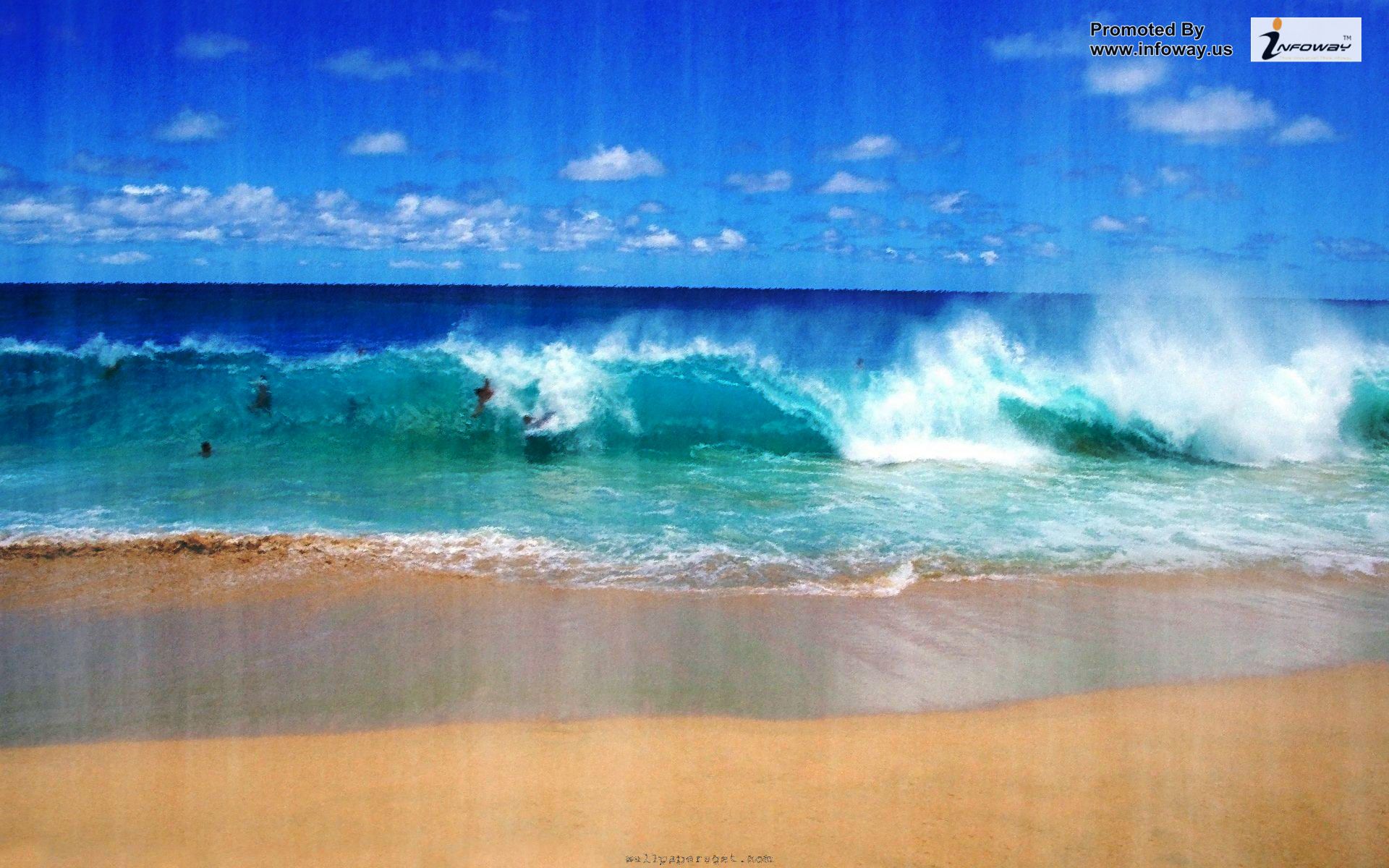 Beach Ocean Surf Swimming Beautiful Scenery HD Wallpaper