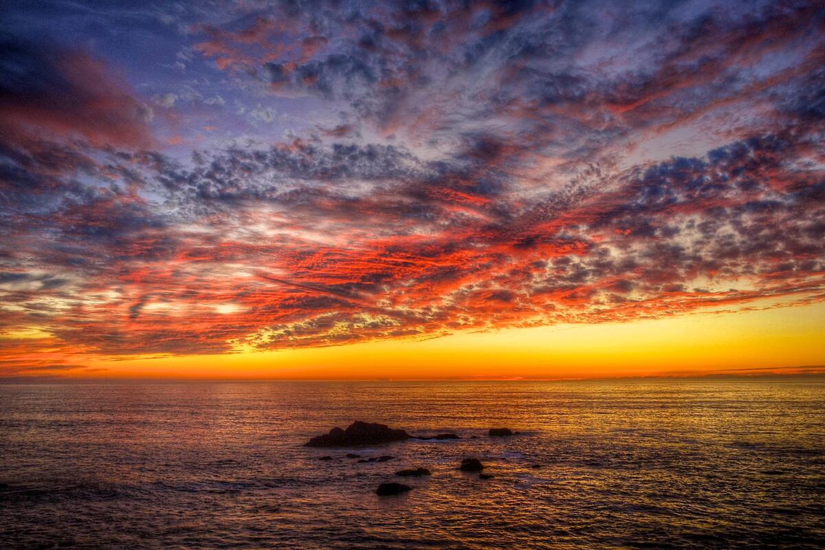 Meet Summer In California Wallpaper