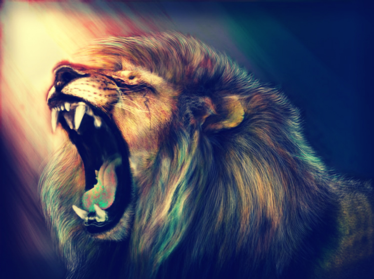 Lion HD Wallpaper Pictures