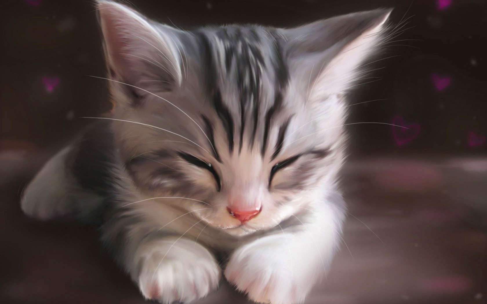 Cute Sleepy Kitten Puter Desktop Wallpaper Pictures Image