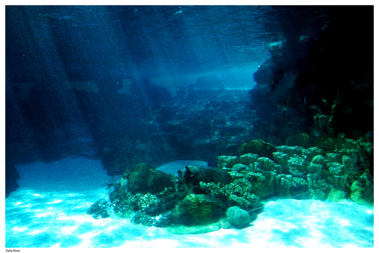 Underwater Ocean Floor Light Wallpaper HD Desktop