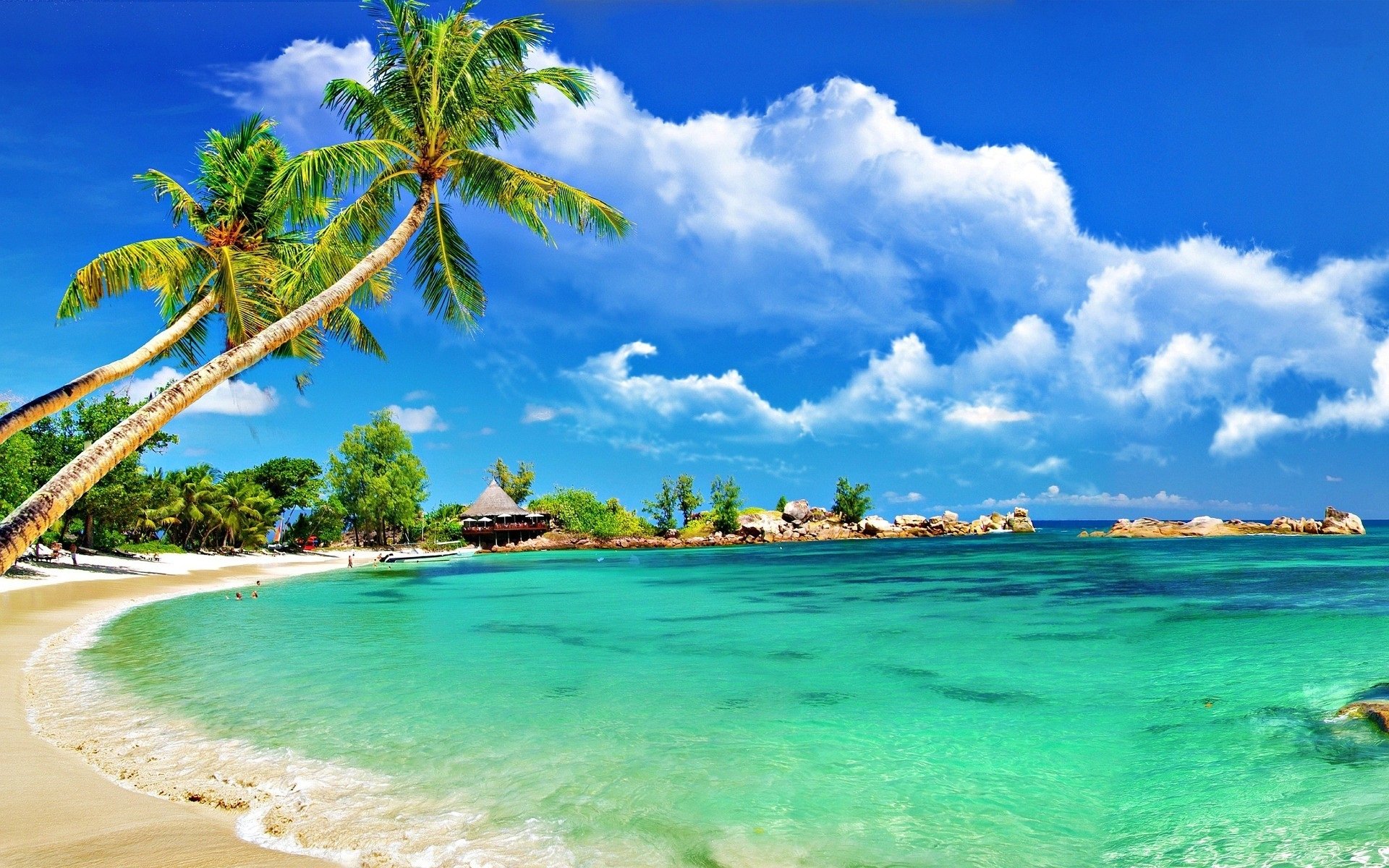 Tropical Beach Hd Image Wallpaper