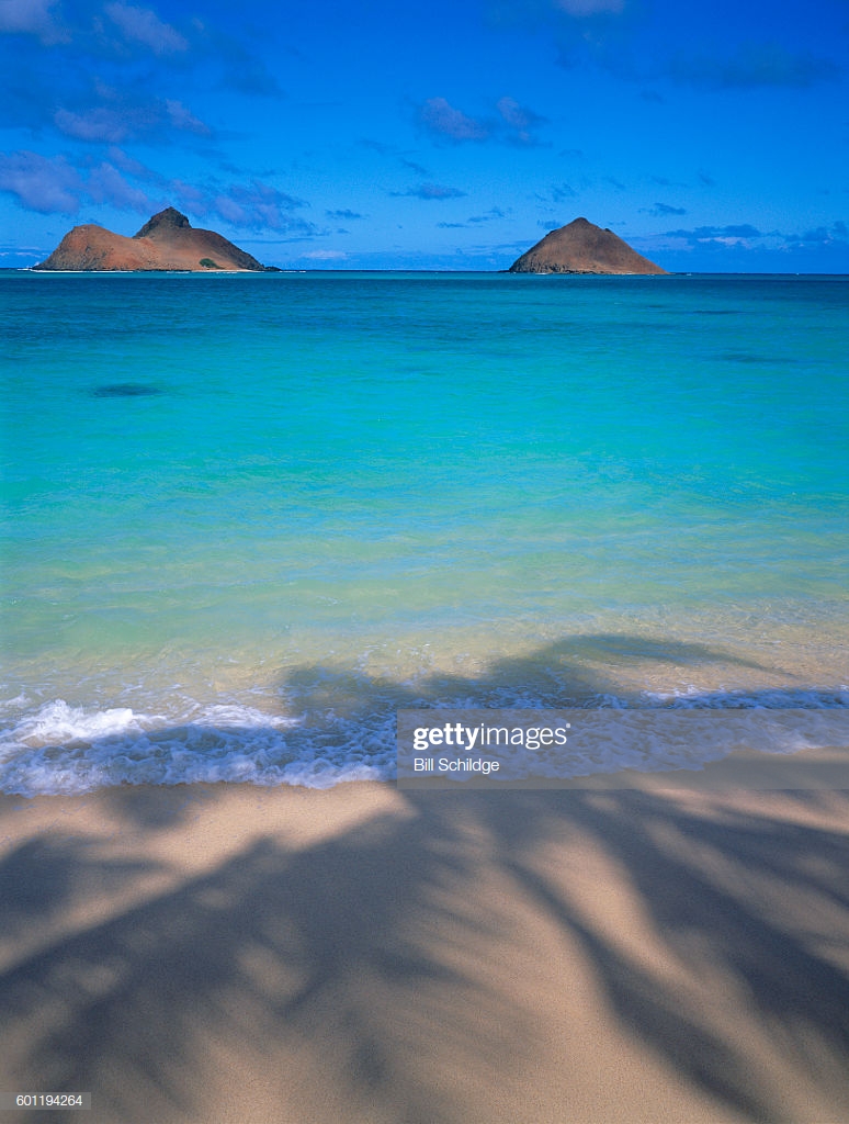 Hawaii Oahu Lanikai Palm Shadow On Sand Shoreline Mokulua Islands