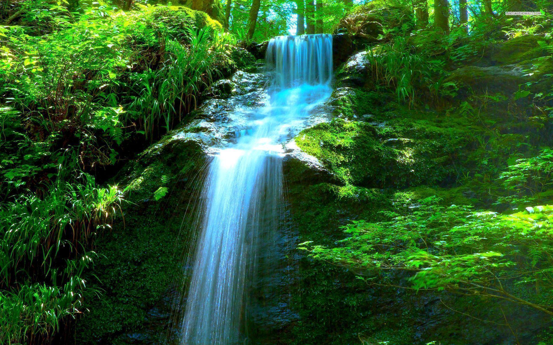 Forest Waterfall Wallpapers