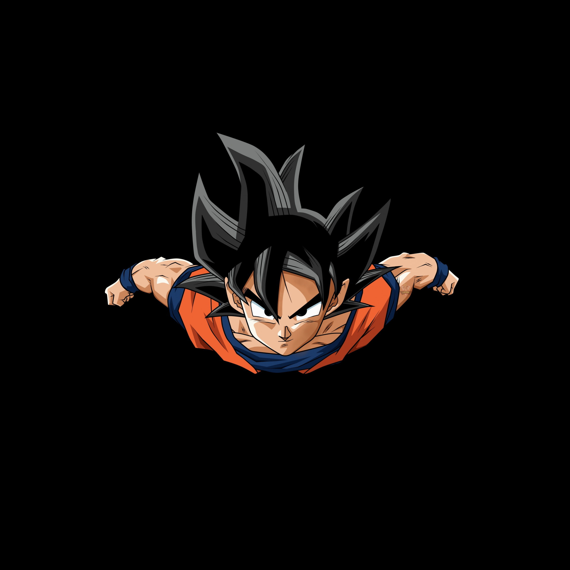 Goku Anime Boy Jump Artwork Wallpaper iPad