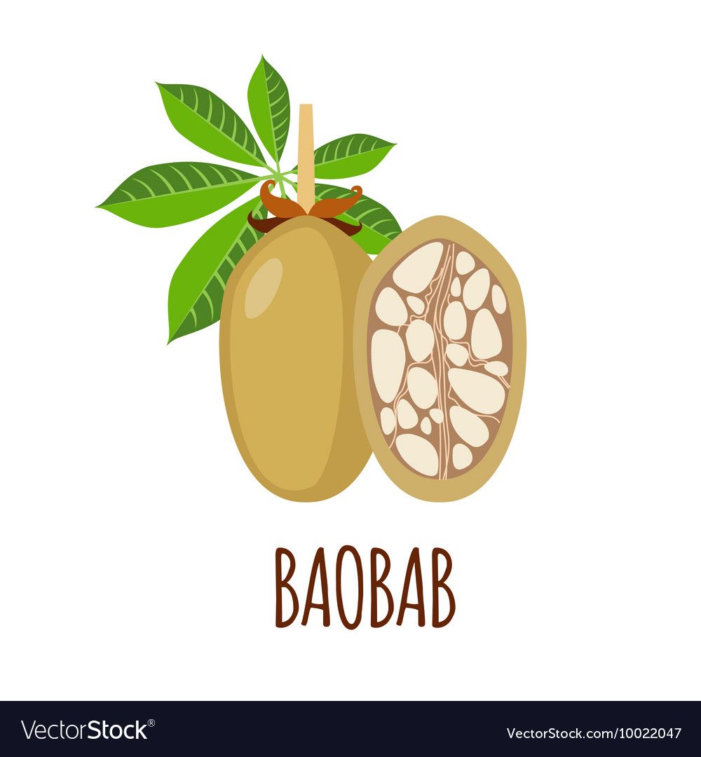 Baobab Icon In Flat Style On White Background Vector Image