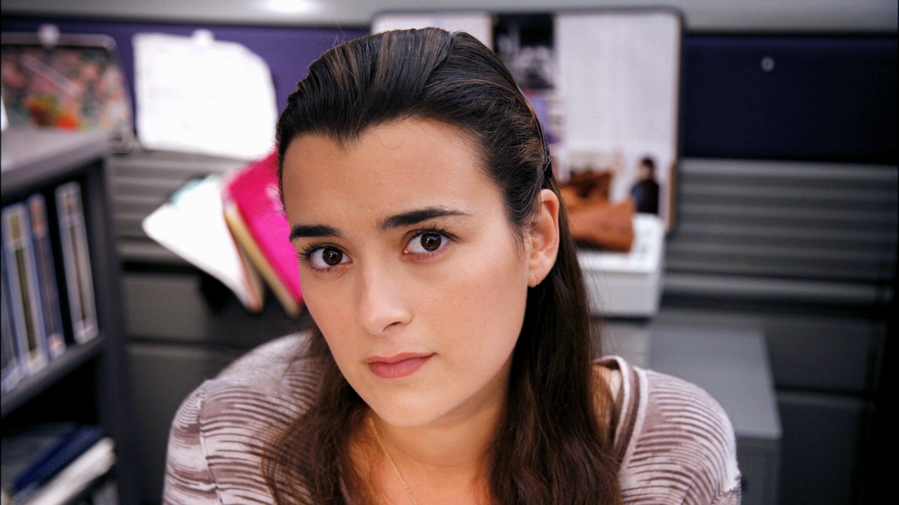 Ncis Ziva David