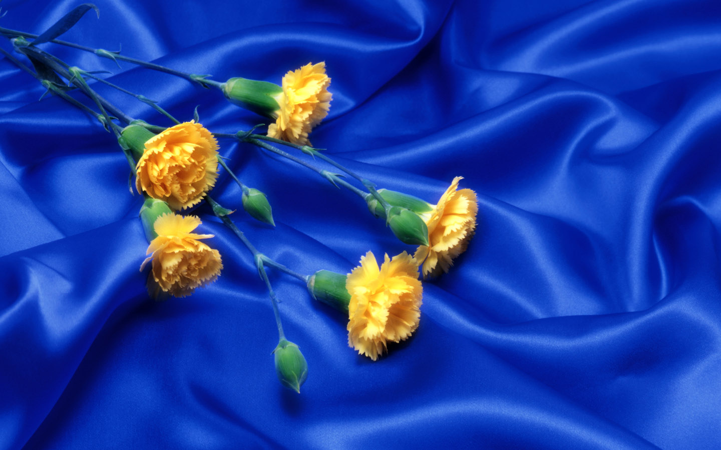 Wnp Wallpaper Pictures Blue With Yellow Flower