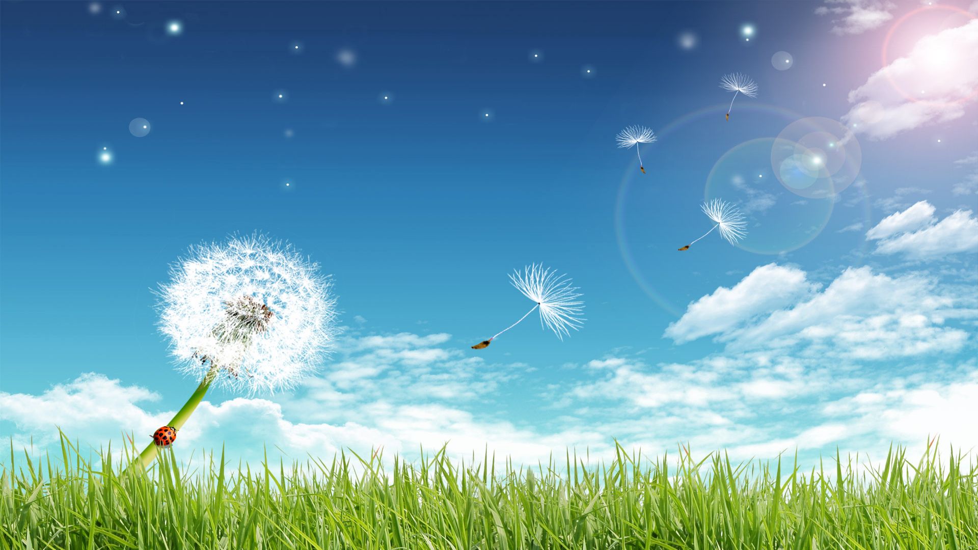 Summer Nature Backgrounds 1920x1080