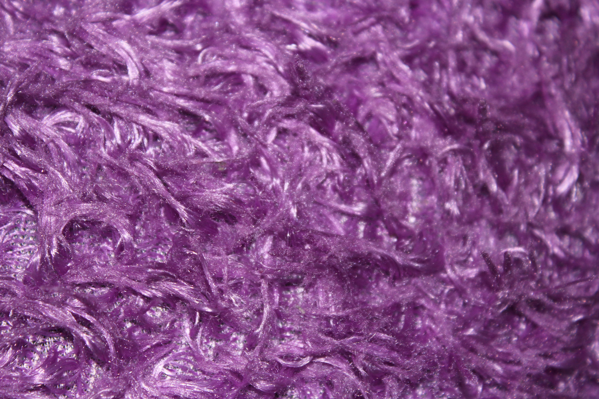 Violet Big Fur Stock Photo HD Public Domain Pictures
