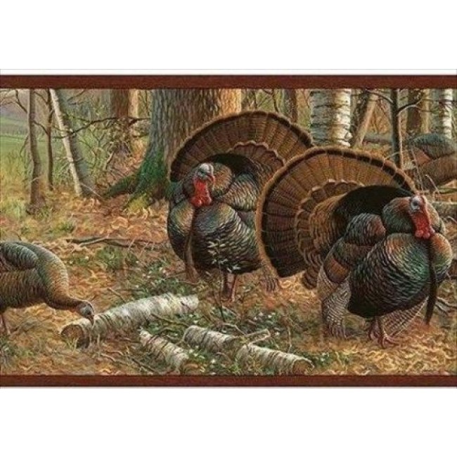 Turkey Hunting Season is Now Open Wallpaper Border SB10288B TC48193B 650x650