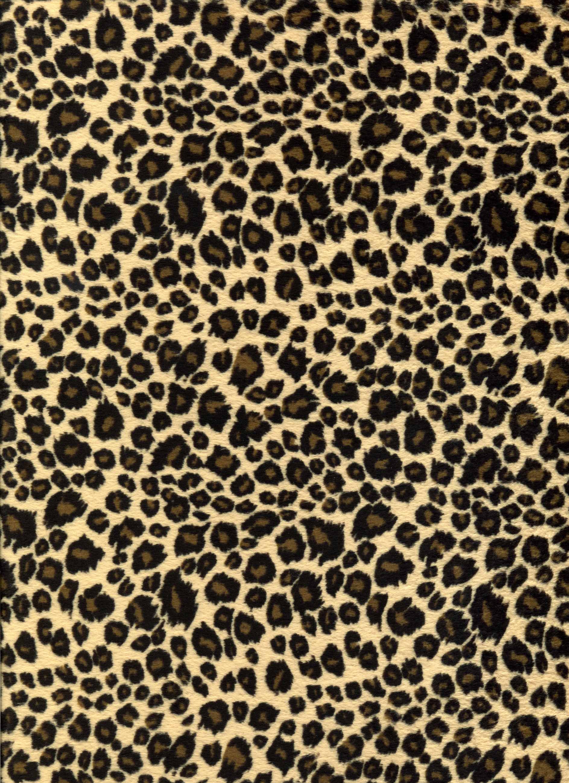 Leopard Animal Print Jaguar Wallpaper Johnywheels