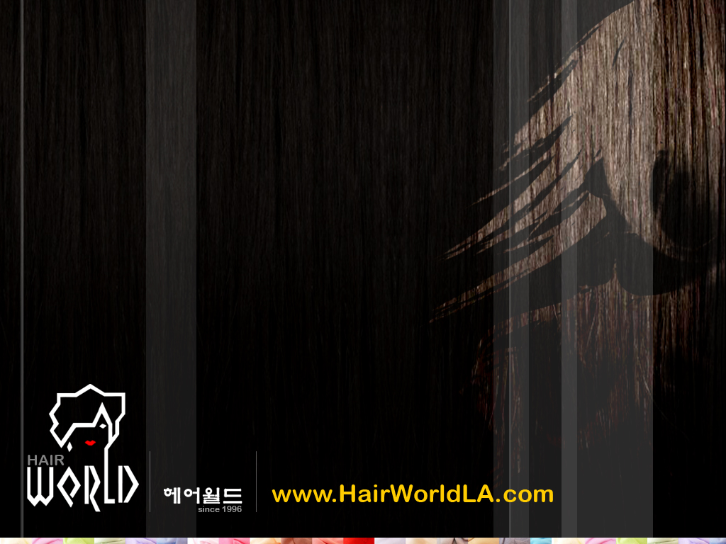 Hair Stylist Desktop Wallpaper Hair world salon   los angeles 1024x768