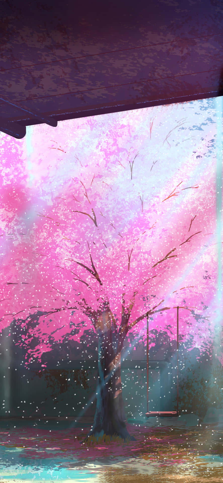 Pink Cherry Blossom Wallpaper