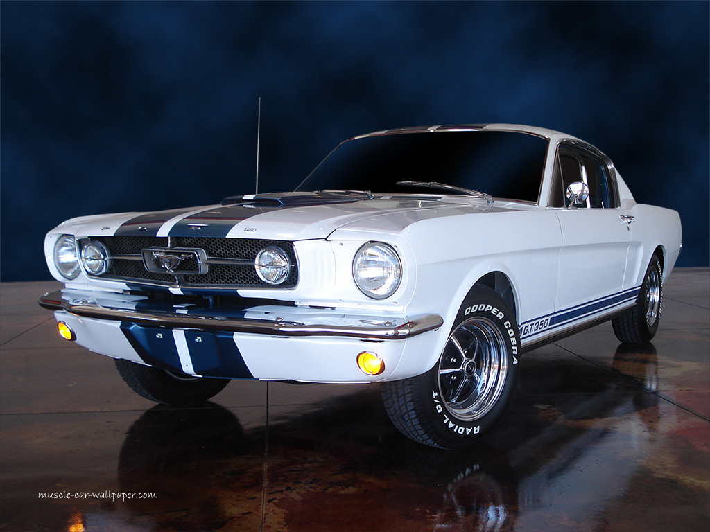 Ford Mustang Gt Wallpaper White Fastback Left Front