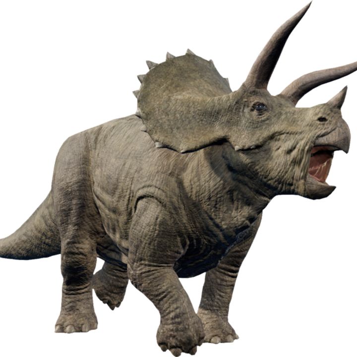 Triceratops Dinosaur Image Prehistoric Animals