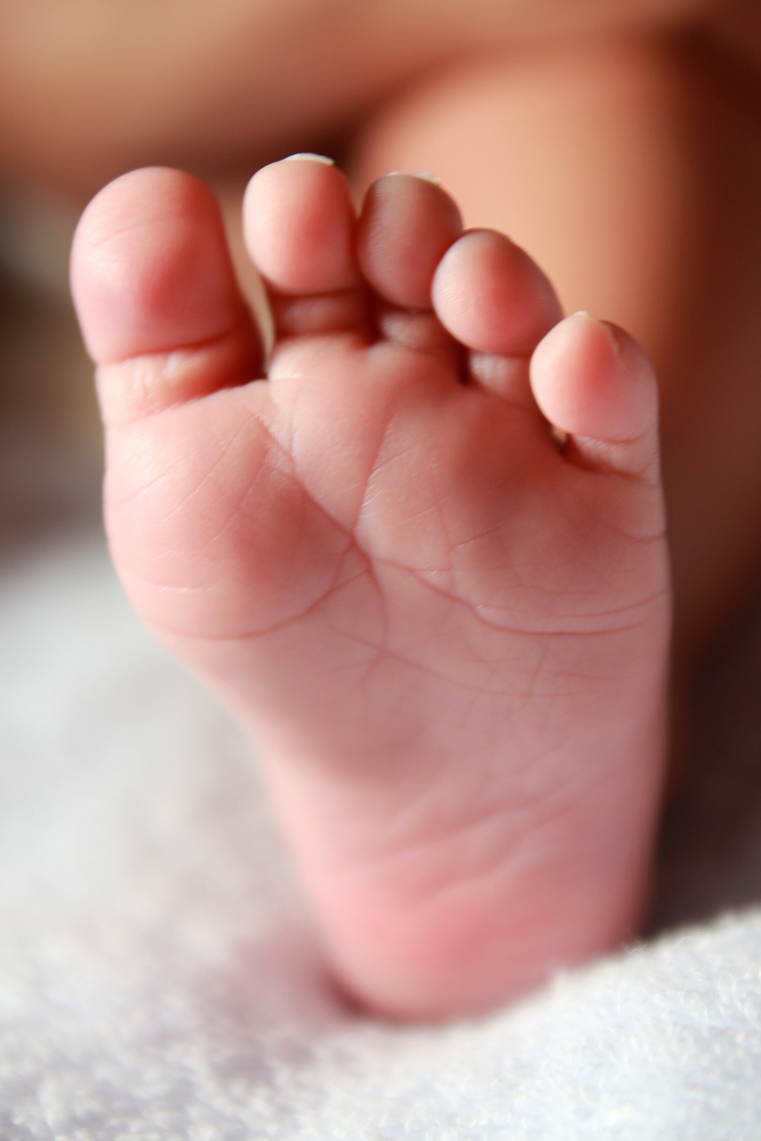 Newborn Baby Foot Leg Child Human Image