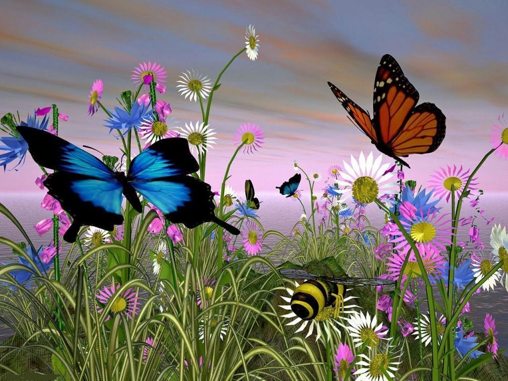 Butterfly Wallpaper Yorkshire