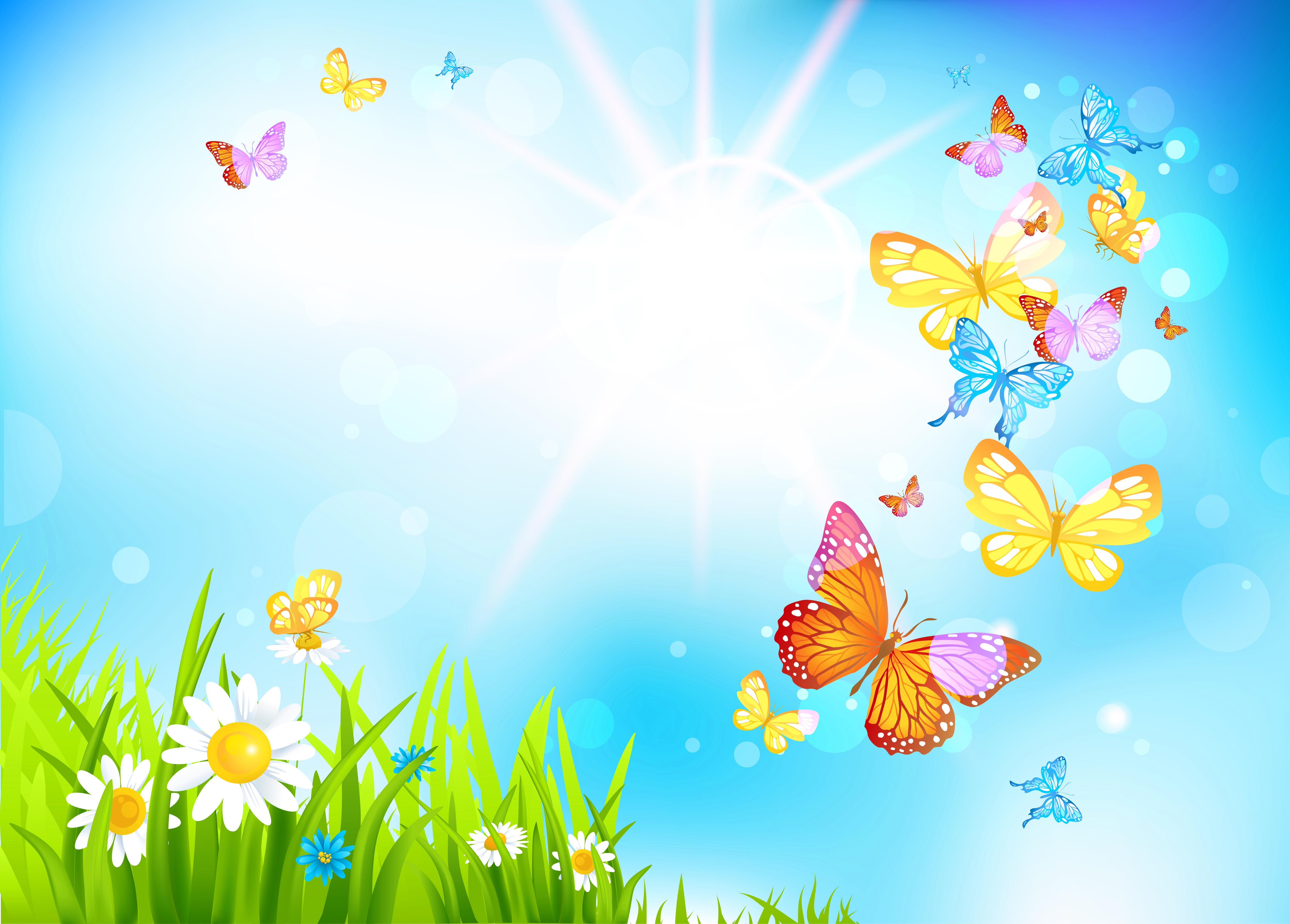 Spring Wallpaper Butterfly Background Hd