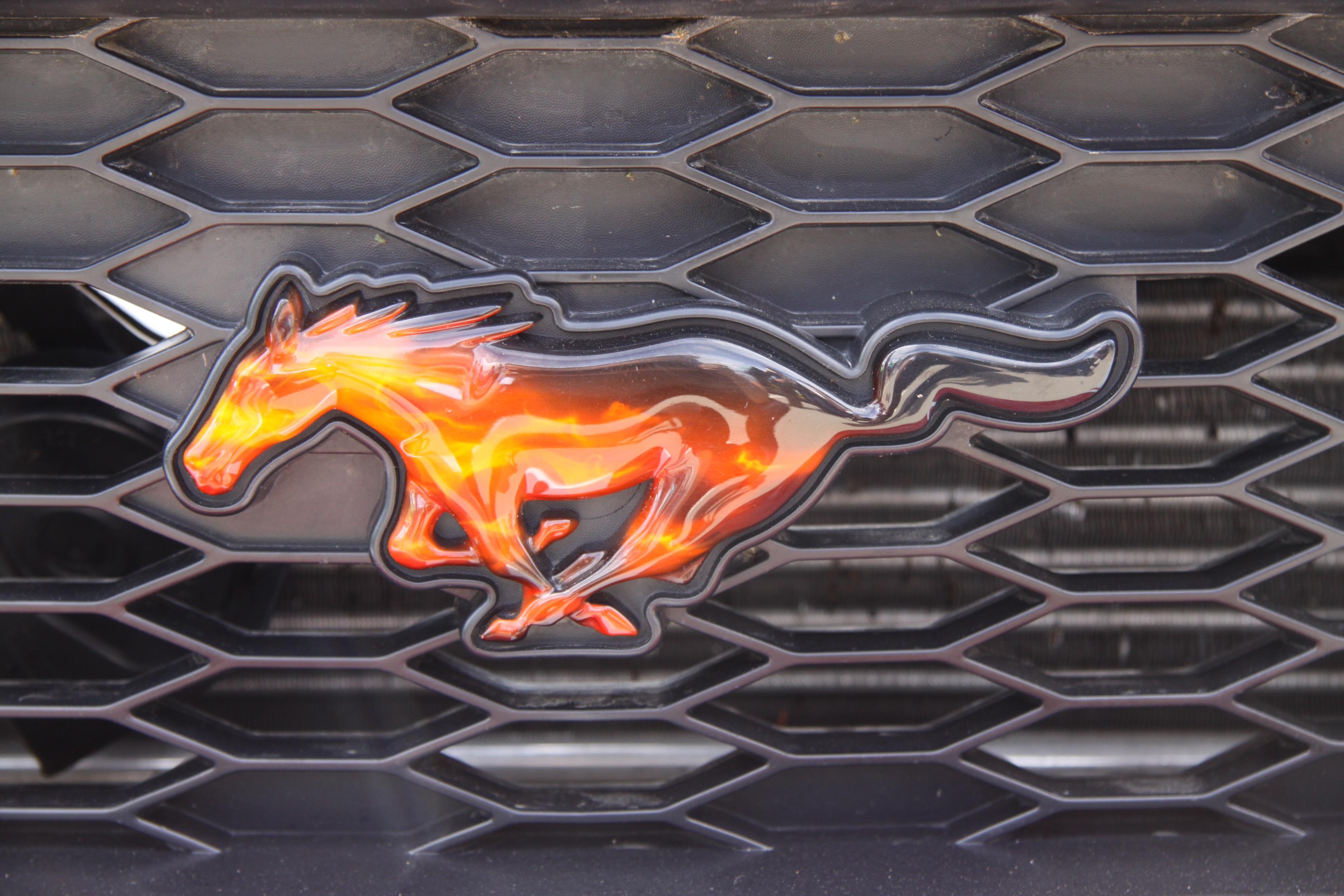 Ford Mustang Logo HD Wallpaper Fire Logo Desktop Background 3456x2304