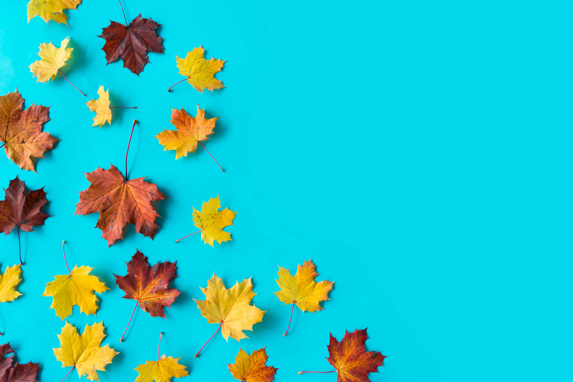 Minimalist Autumn Wallpaper