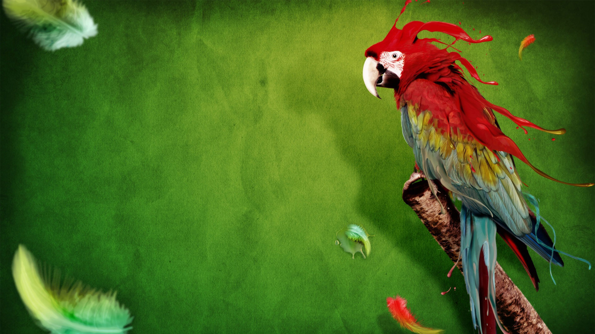 Parrot Wallpaper