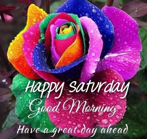 Good Morning Happy Saturday