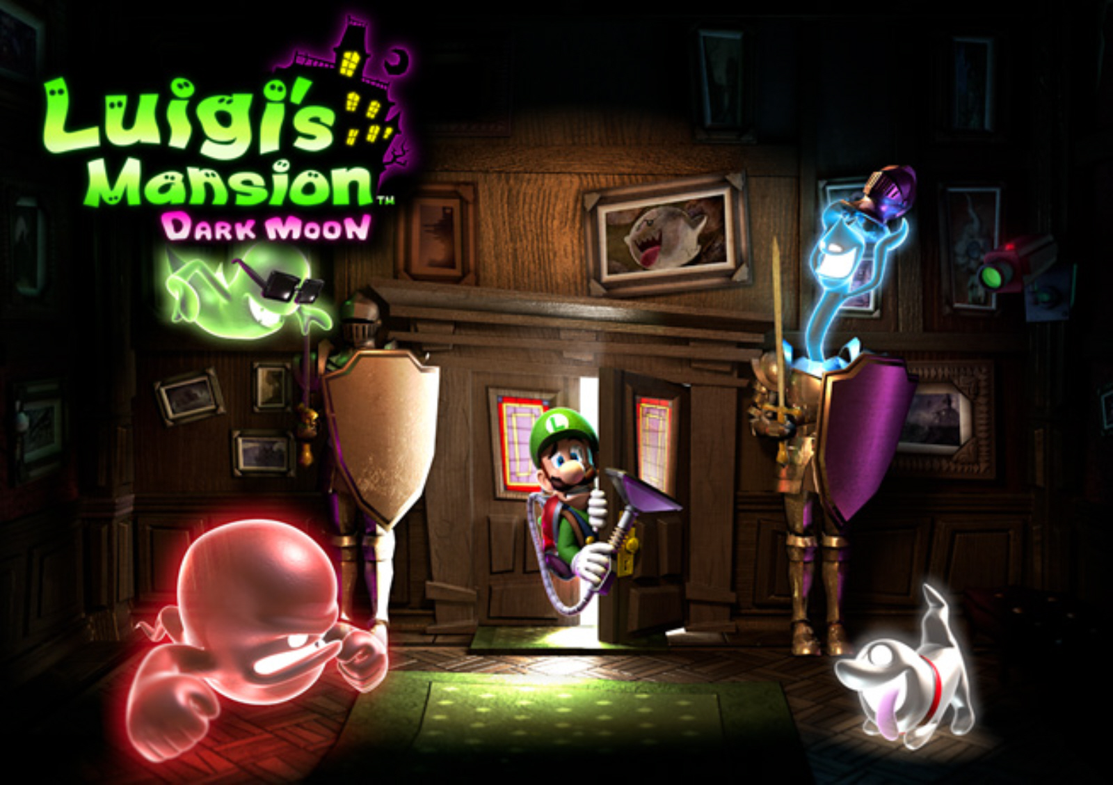 Luigi S Mansion Dark Moon Photo