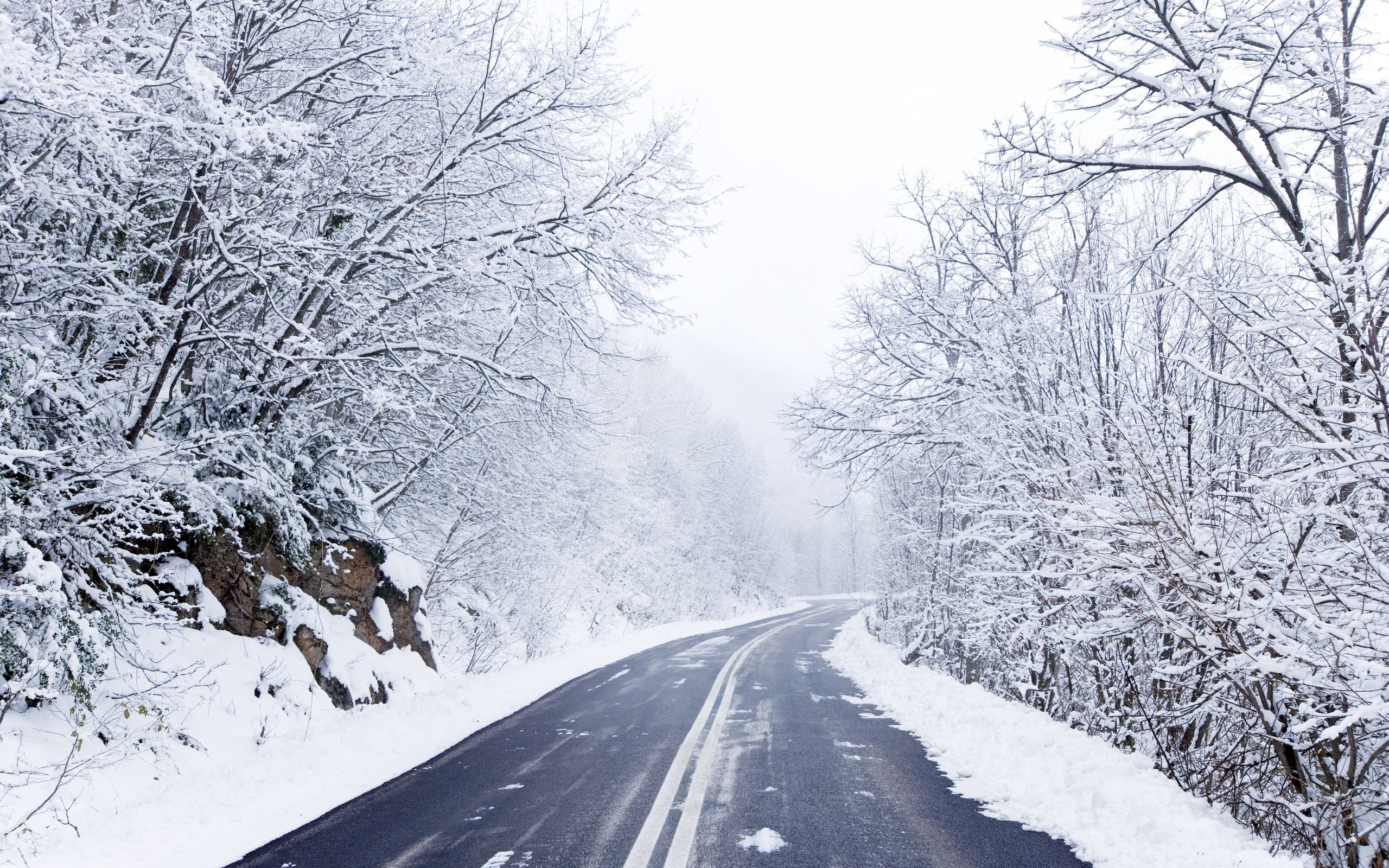 Cold Winter Road Wallpapers   2560x1600   2158693