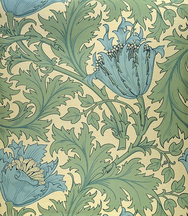 William Morris Anemone Wallpaper Pattern Patterns