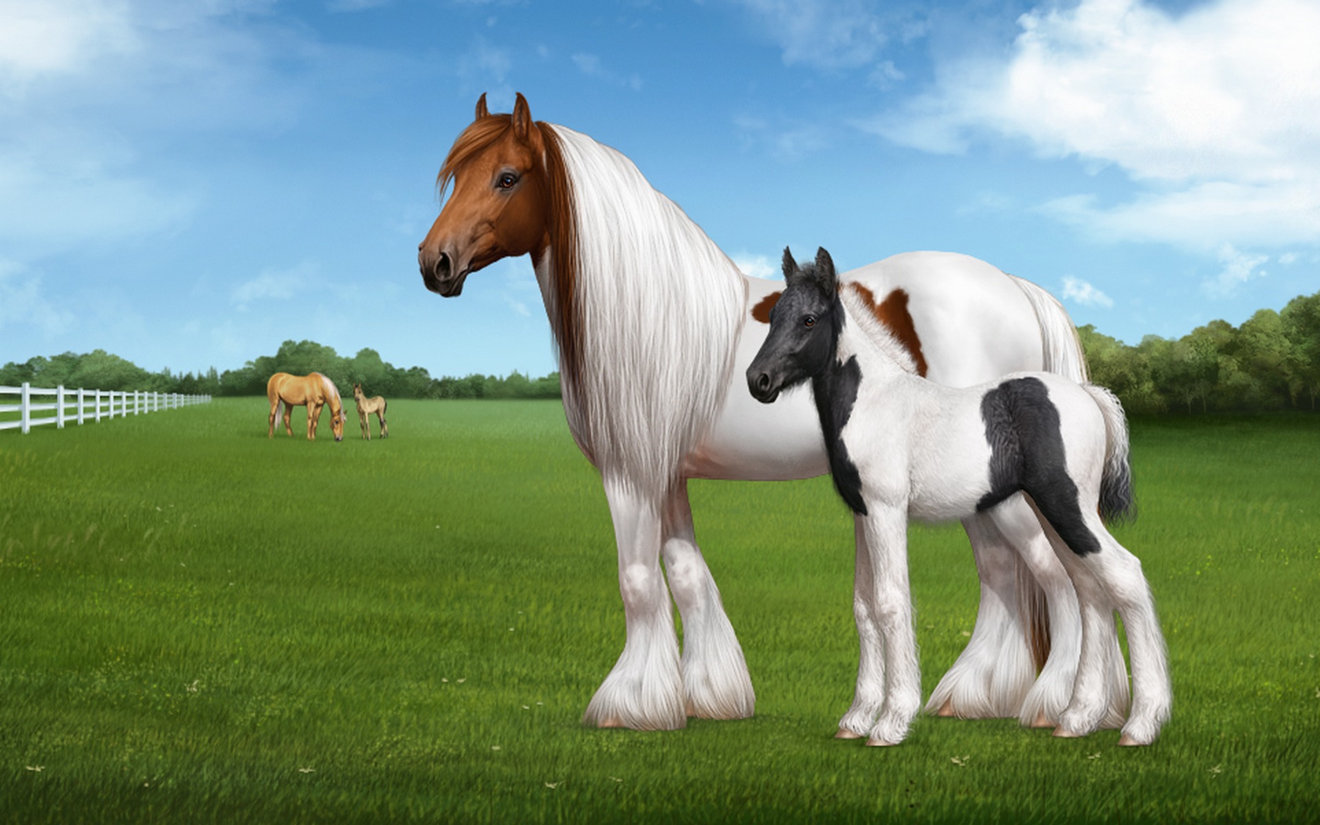 Pics Photos Bacground Animals Desktop S Horses Horse Sky