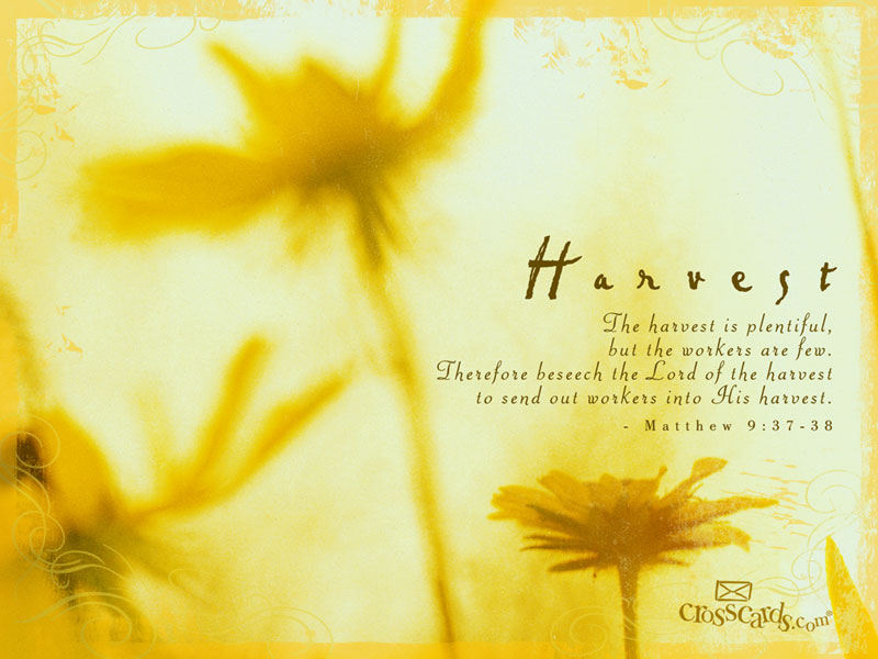 Harvest Desktop Wallpaper Scripture Verses Background