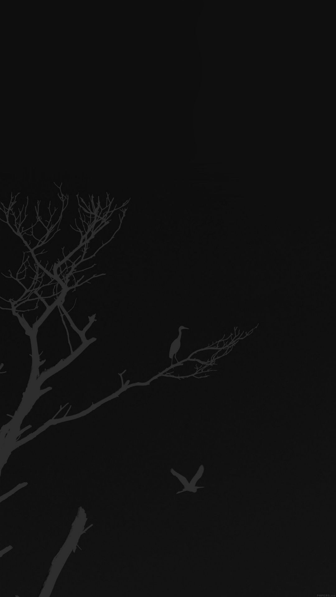 Bird Sunset Tree Dark Nature Minimal iPhone Wallpaper