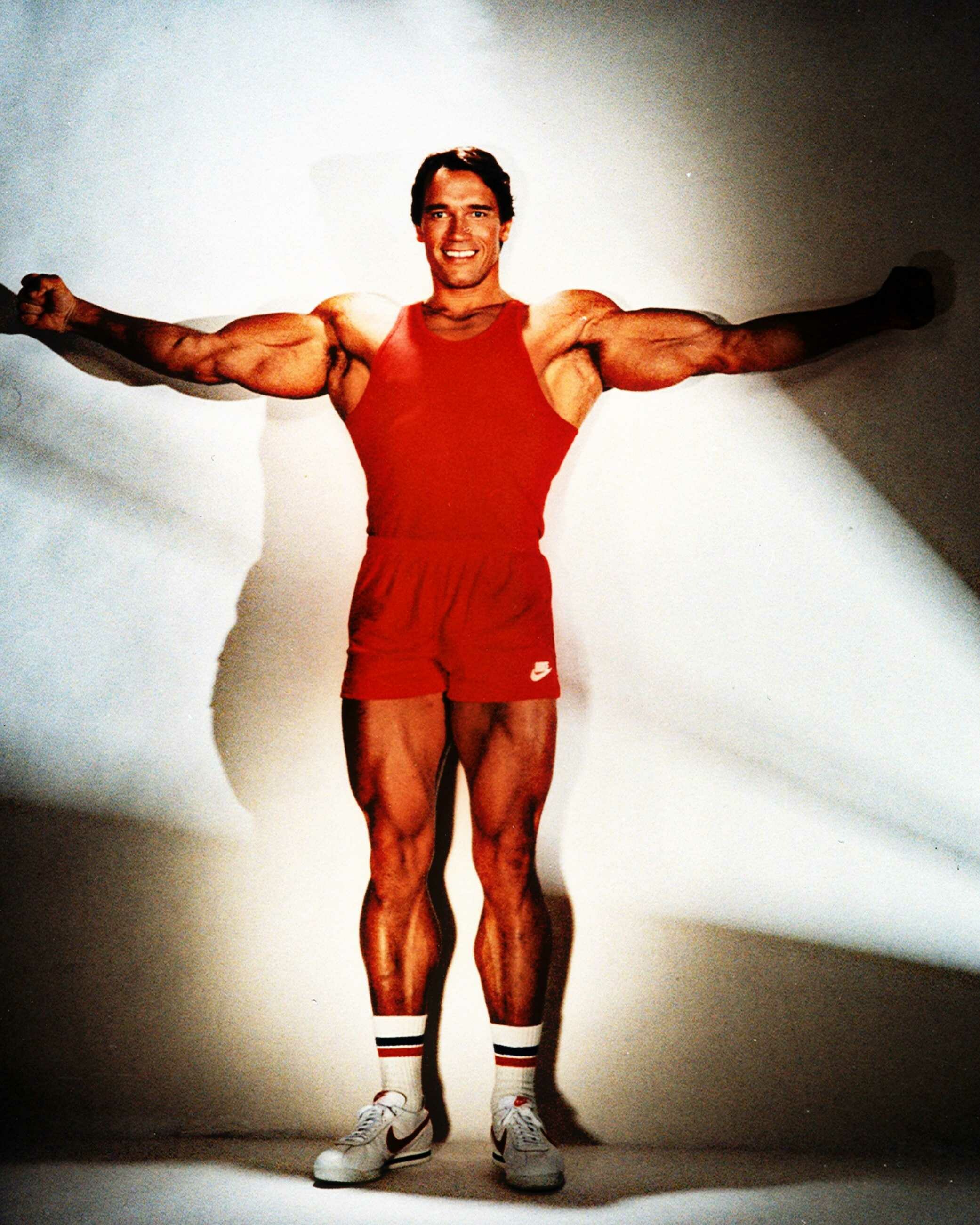 Arnold Schwarzenegger Wallpaper