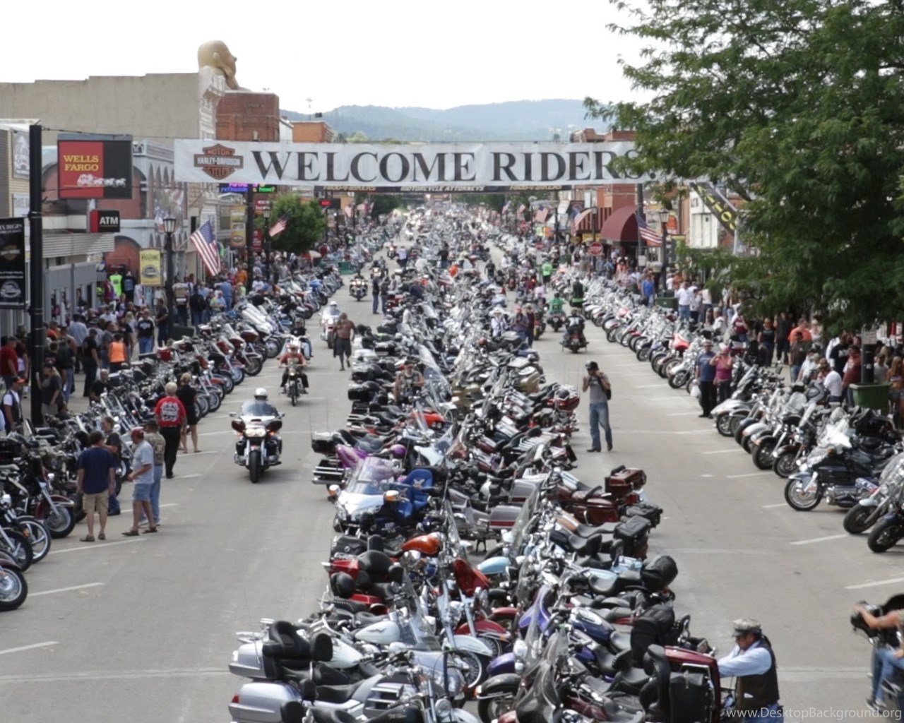 Free download Sturgis Rally 2013 Desktop Background [1280x1024] for ...