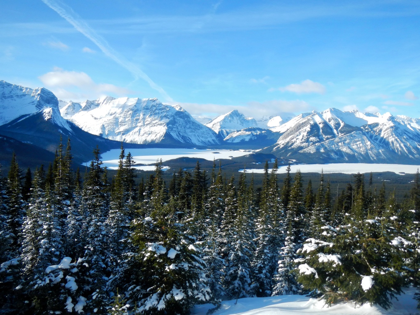 Canada Seasons Winter Mountains Scenery Fir Snow Alberta Nature