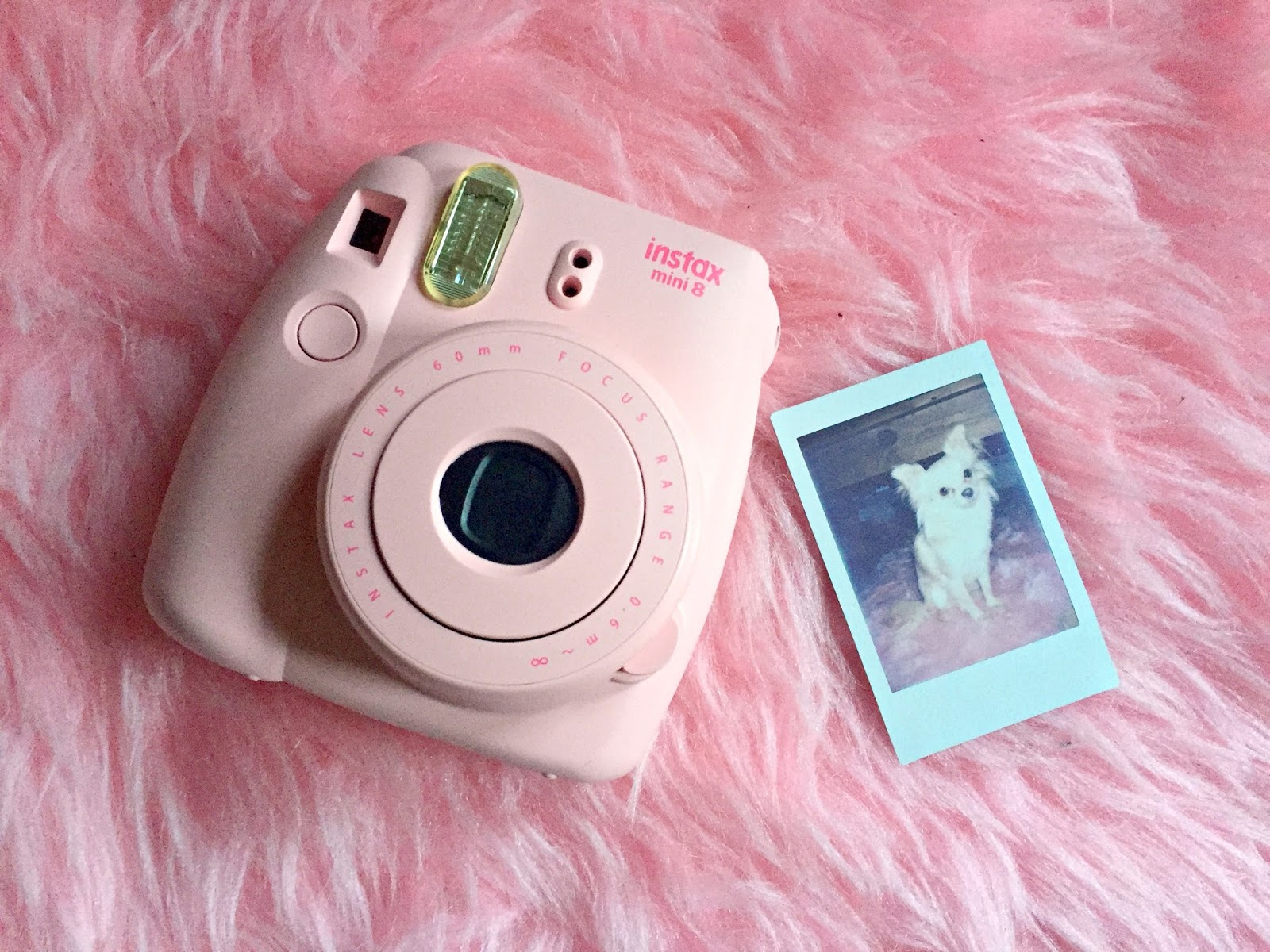 Chloe S Way Fujifilm Instax Mini Instant Camera Winter Polaroids