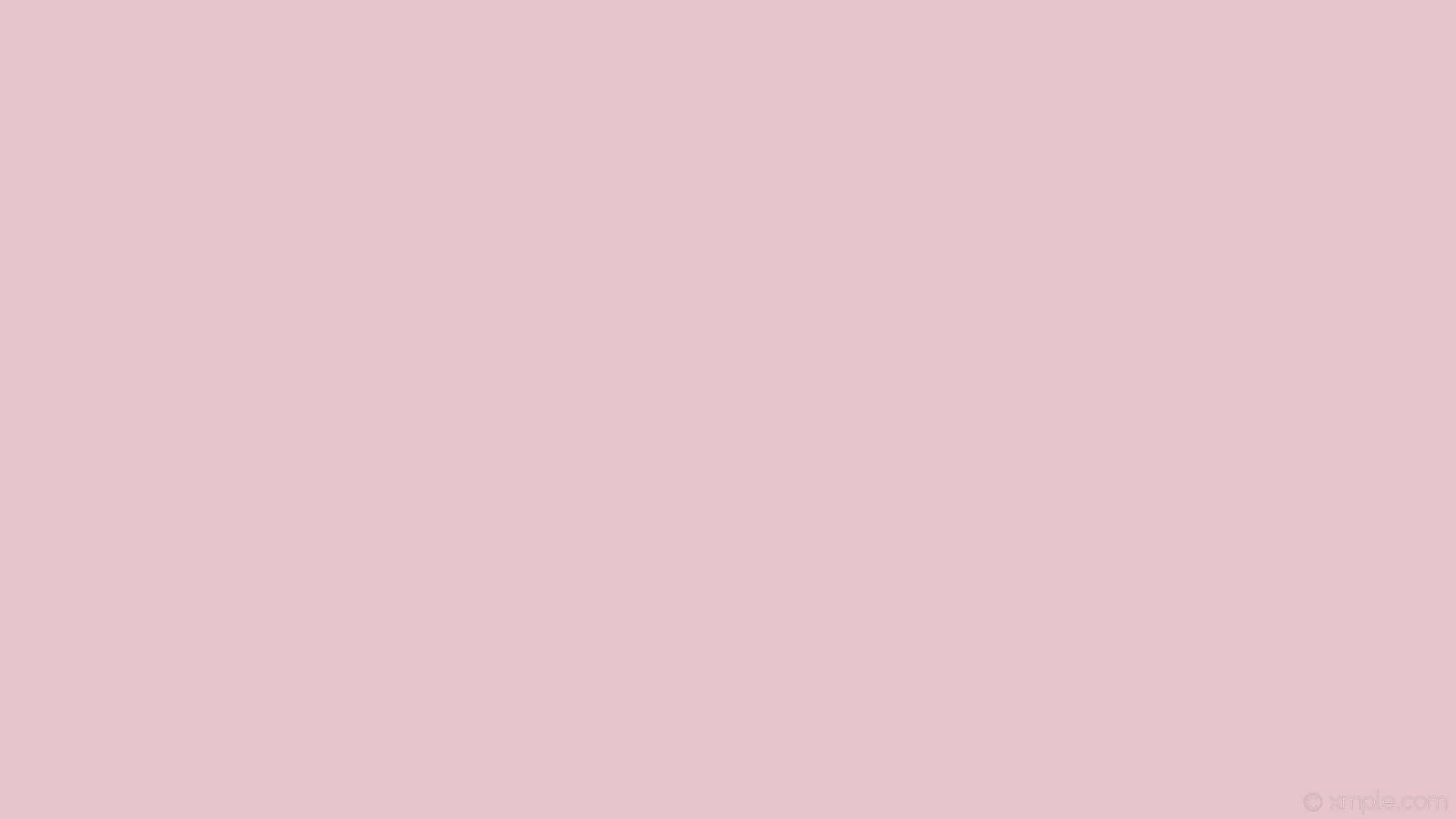Pink Solid Color Wallpaper