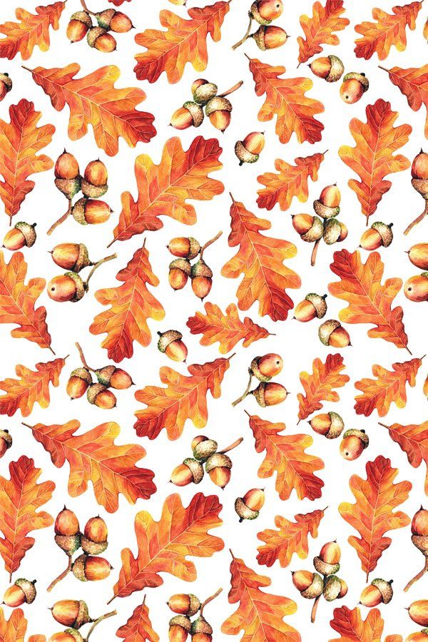 Seamless Watercolor Patterns Autumn Oak Leaves Acorns