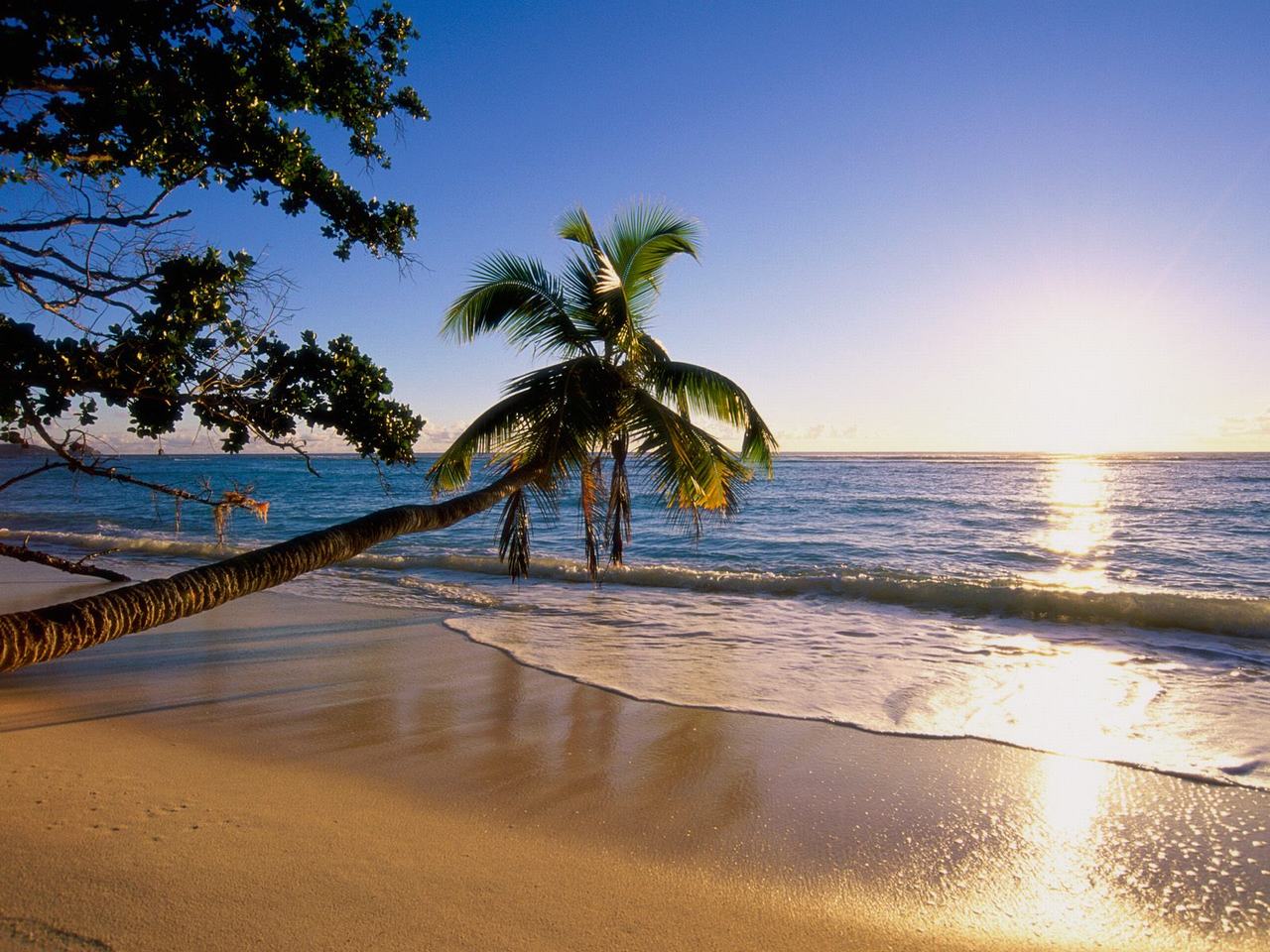 Tropical Island Beach Scenery Sun At Water Wallpaper