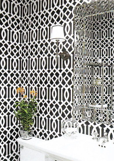 Chelsea Lane Co Schumacher Imperial Trellis