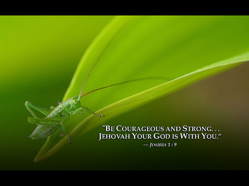 Grasshopper Jehovah Witnesses Yeartext For iPad iPadmini iPhone
