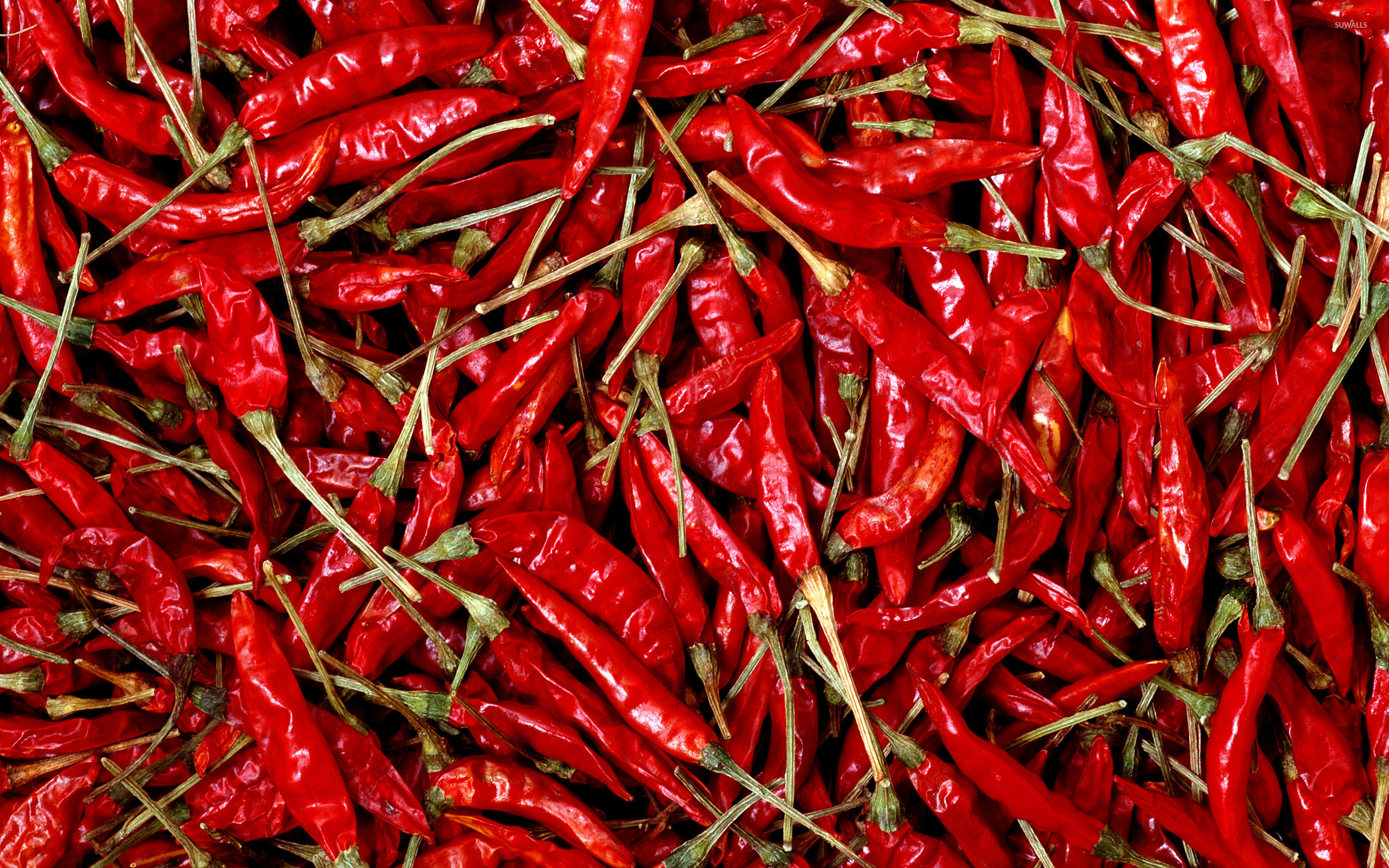 Chili Peppers Wallpaper Photography