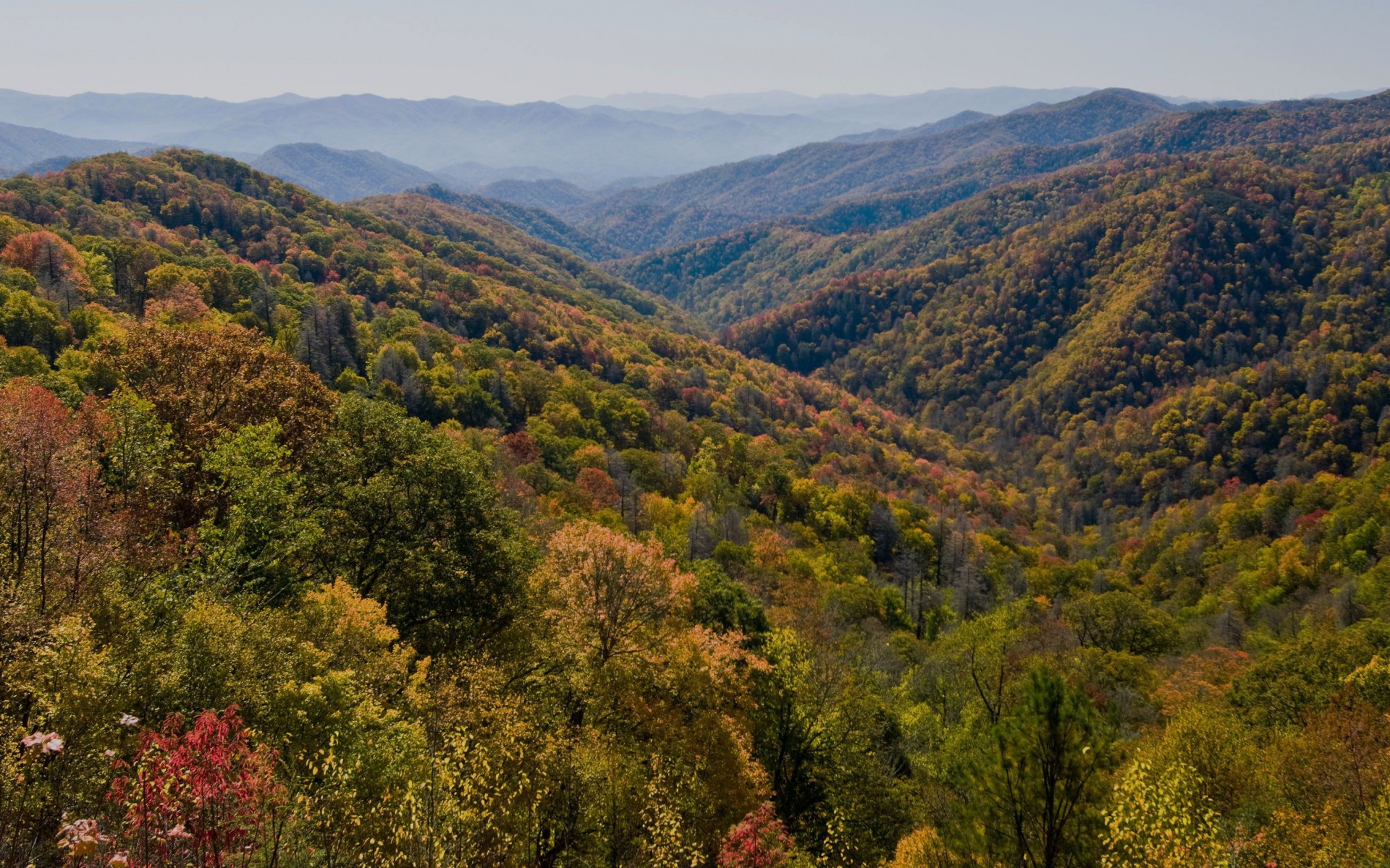Great Smoky Mountains Usa Hintergrundbilder