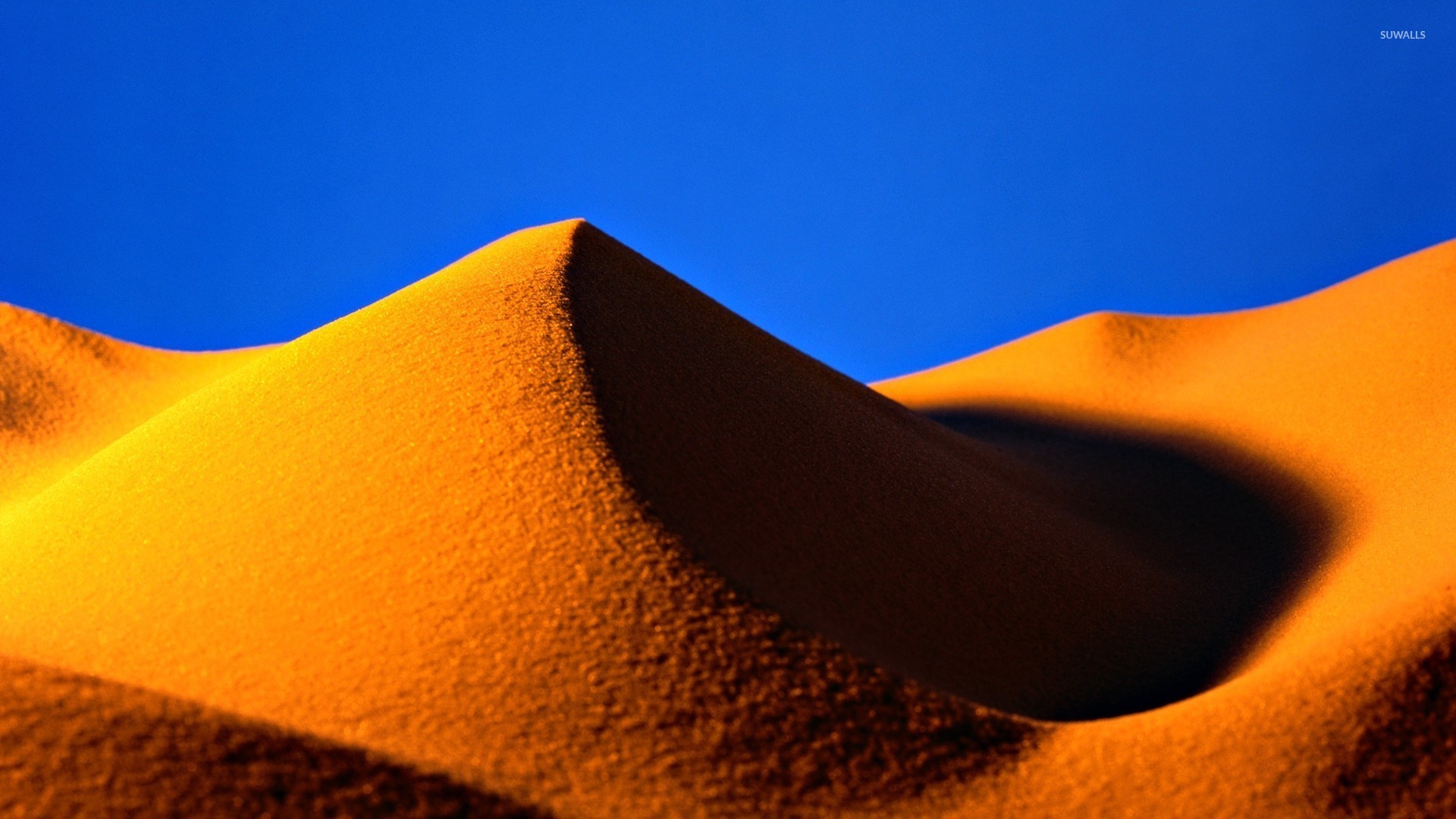 Golden Sand Dune Wallpaper Nature