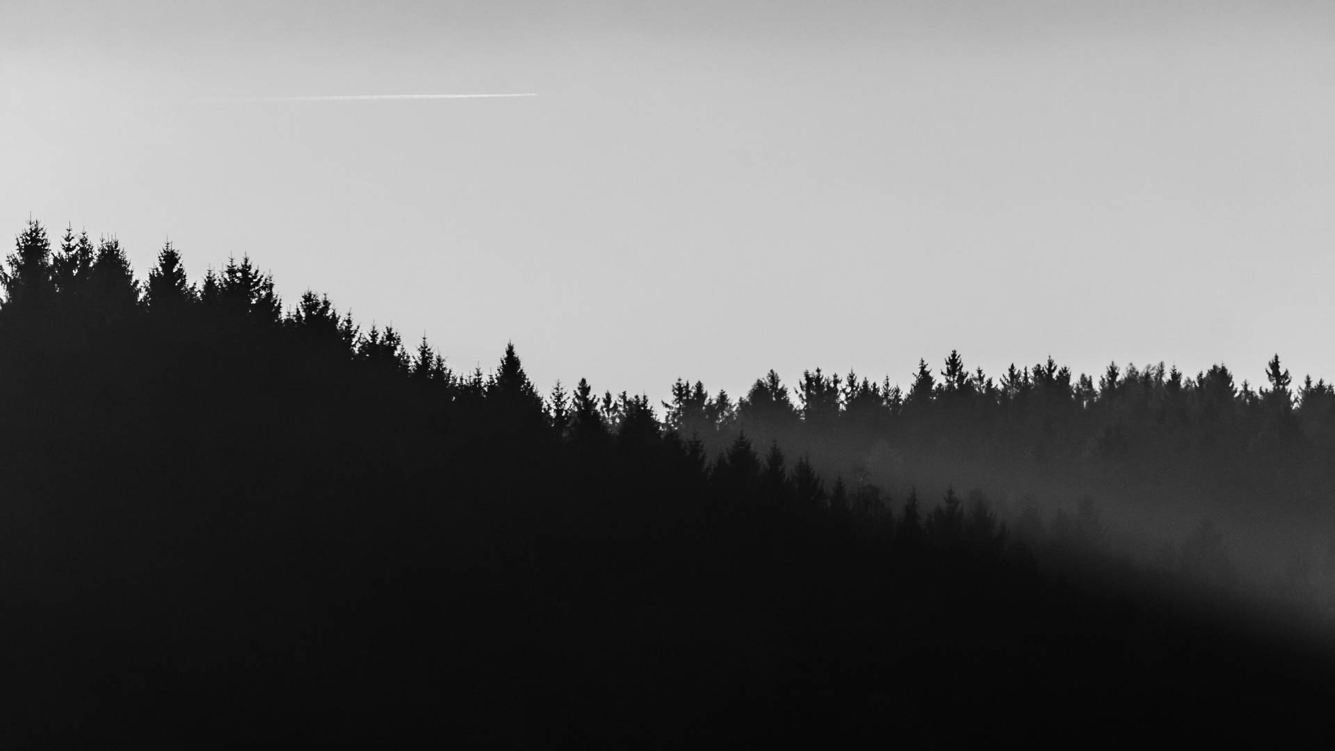 Minimalist black and white landscape of a silhouetted forest against a clear sky with a faint contrail