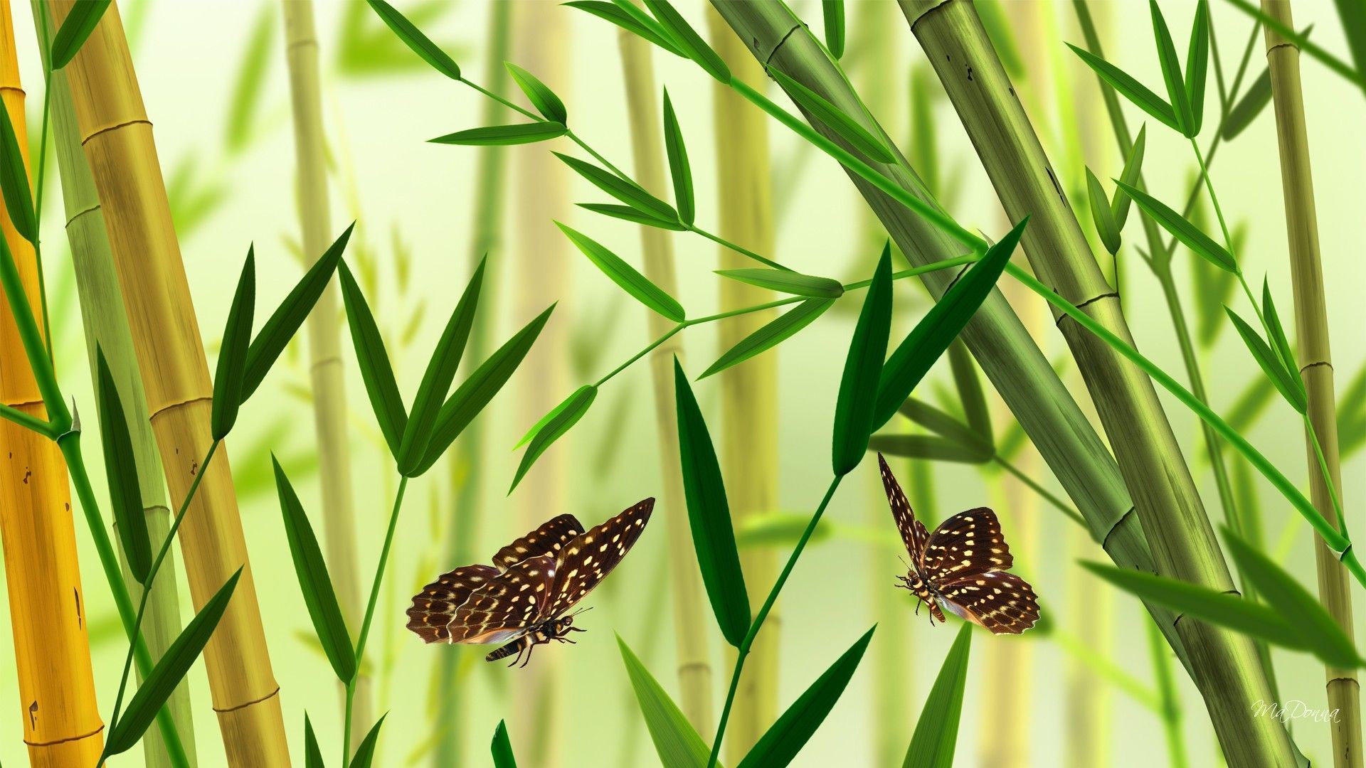 Bamboo Desktop Wallpaper